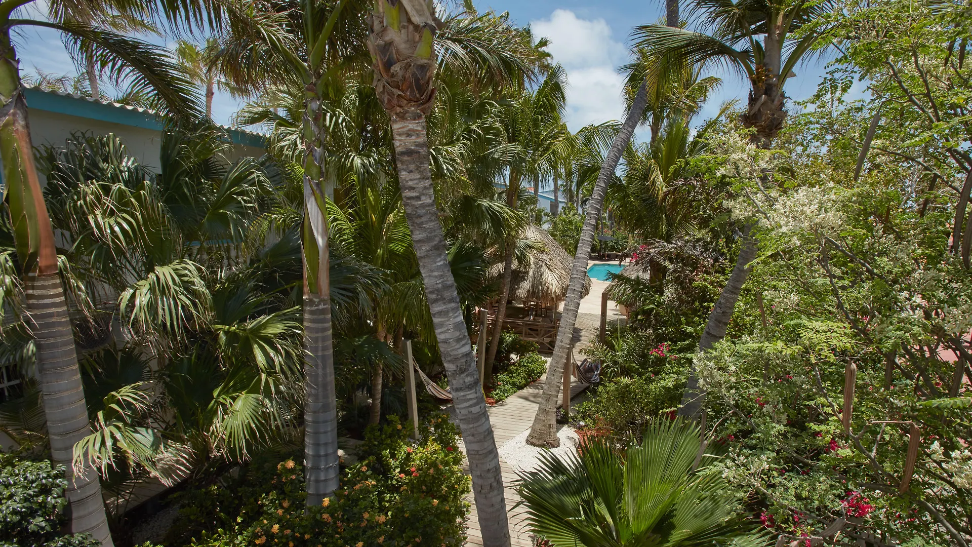 Paradera Park Aruba Ораньестад Аруба